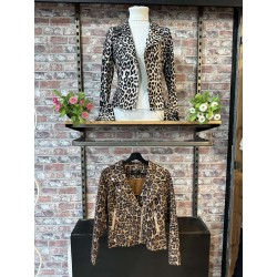 PERFECTO DAIM LEOPARD