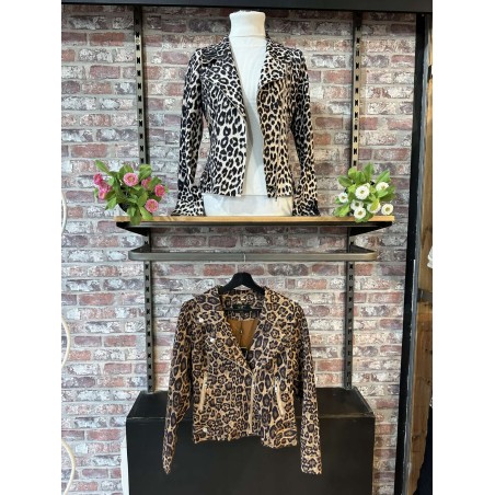 PERFECTO DAIM LEOPARD